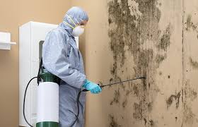 Best Water Damage & Mold Remediation  in Lawtey, FL